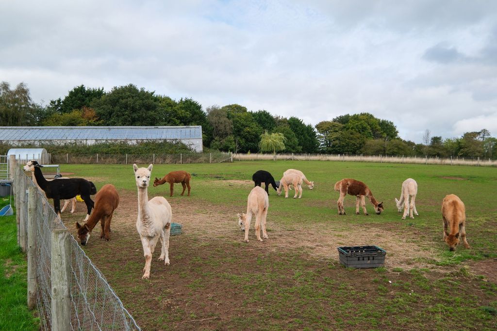 Property photo 3 of 27