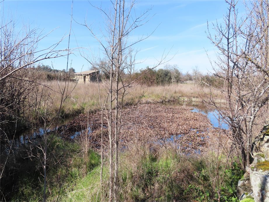 Property photo 2 of 32