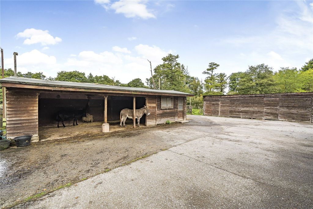 Property photo 3 of 28 Picture No. 25