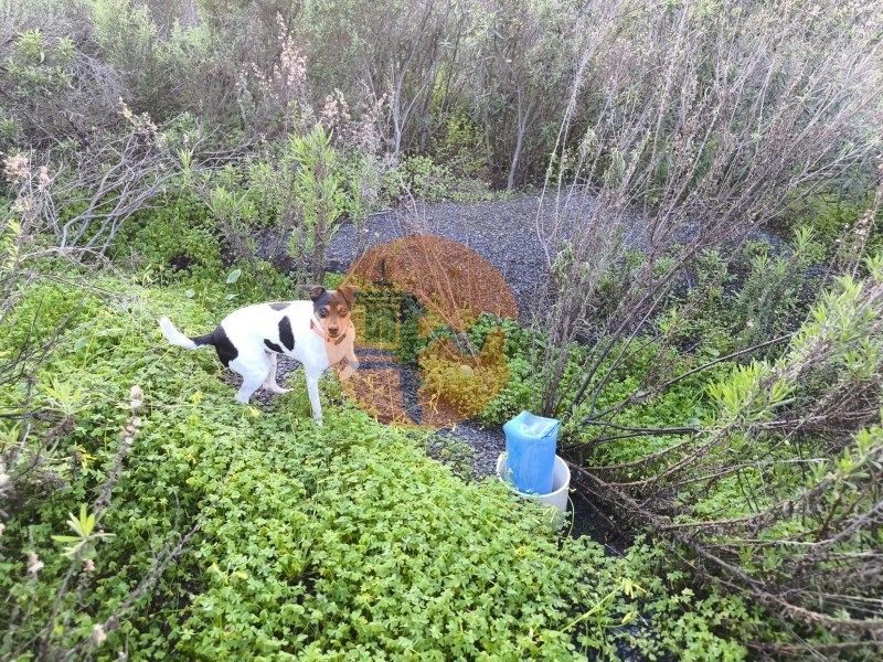 Property photo 3 of 36