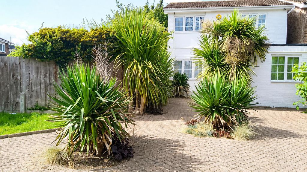 Property photo 1 of 9 330915Aa-Ca5F-4Dea-B8d6-c1B9cd41c2Cb.Png