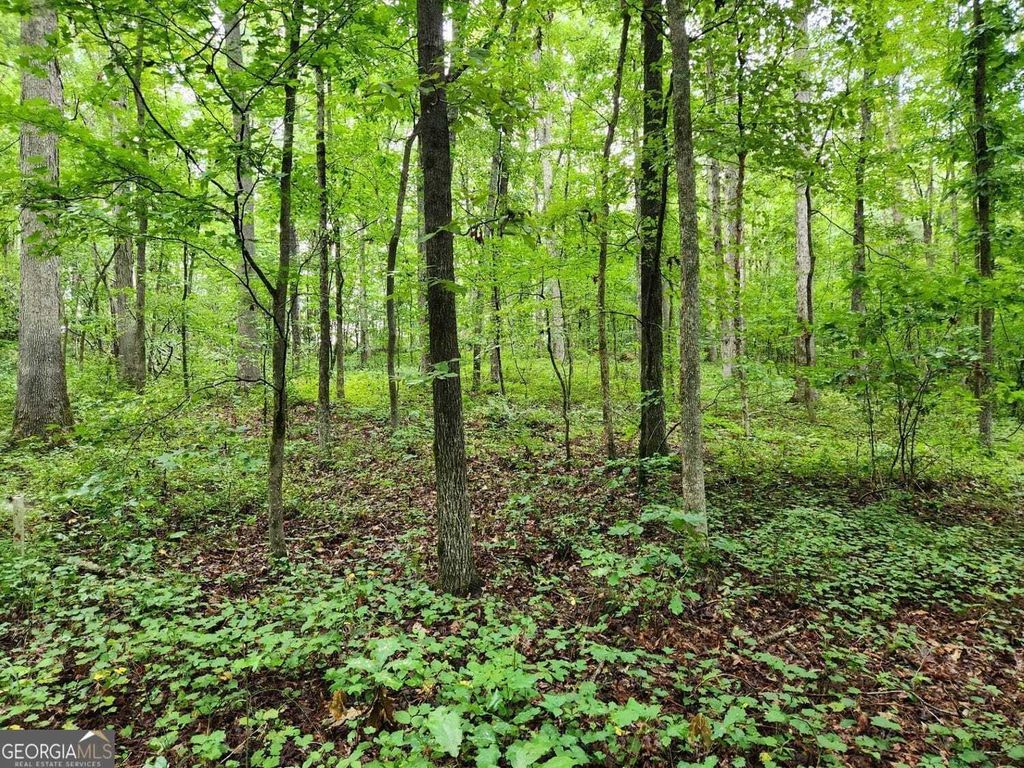 Property photo 1 of 2 <Alttext/>