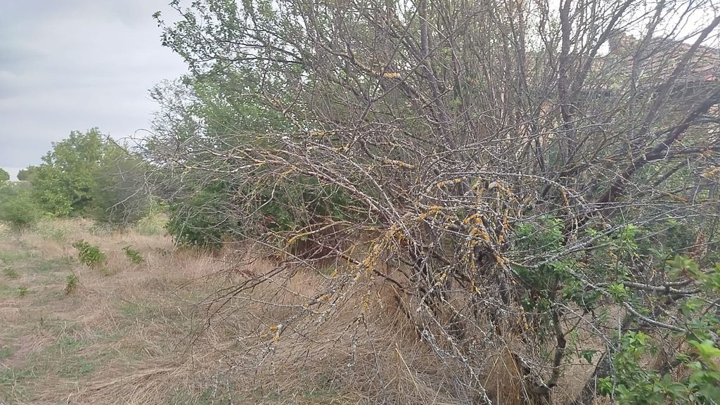 Property photo 3 of 3