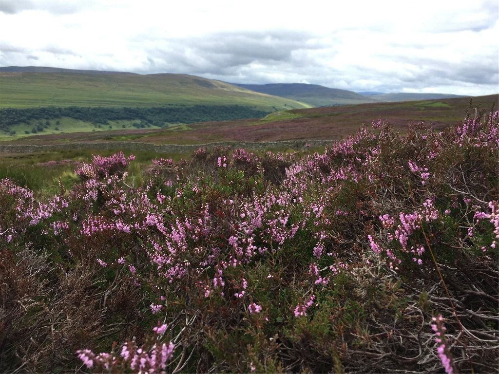 Property photo 3 of 6 Picture No. 10