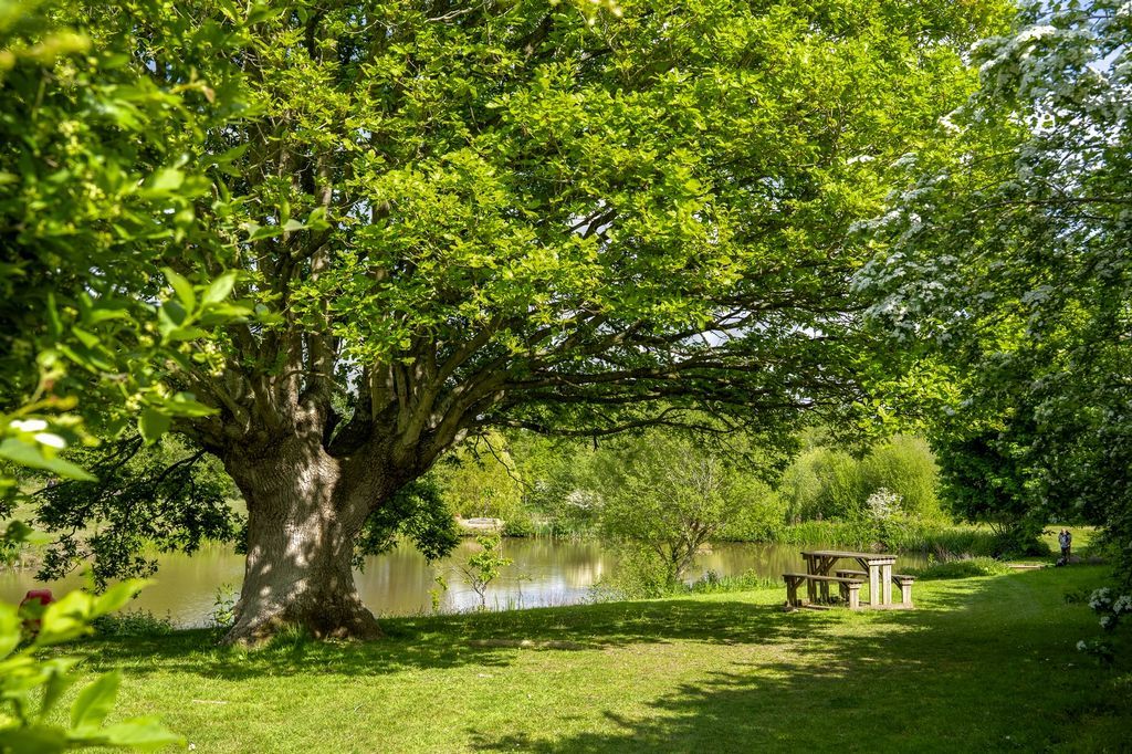 Property photo 2 of 16 2025 Malvern View Photoshoot 015