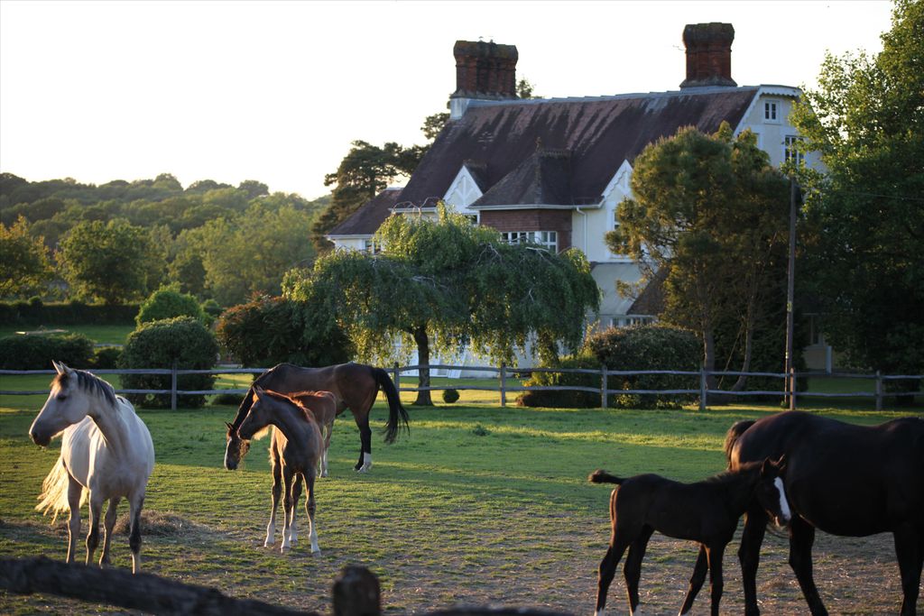 Property photo 1 of 34 Image