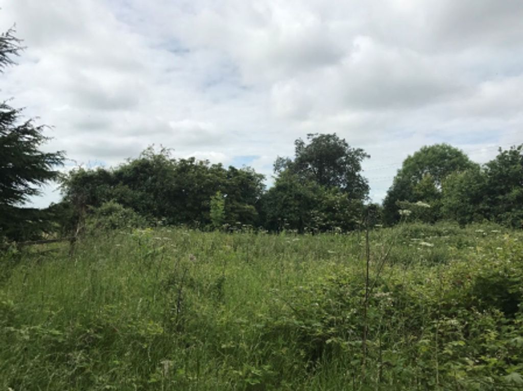 Property photo 3 of 11 Proposed Southern Boundary Of Site