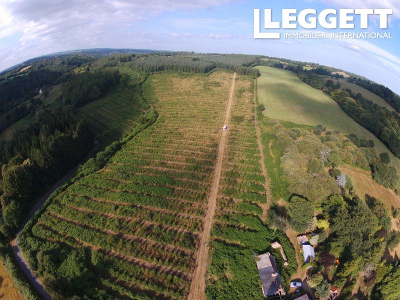 Property photo 3 of 6