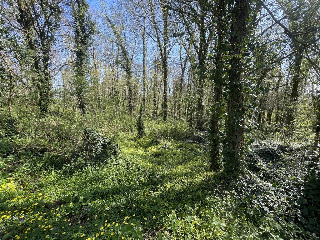 Property photo 2 of 9 2