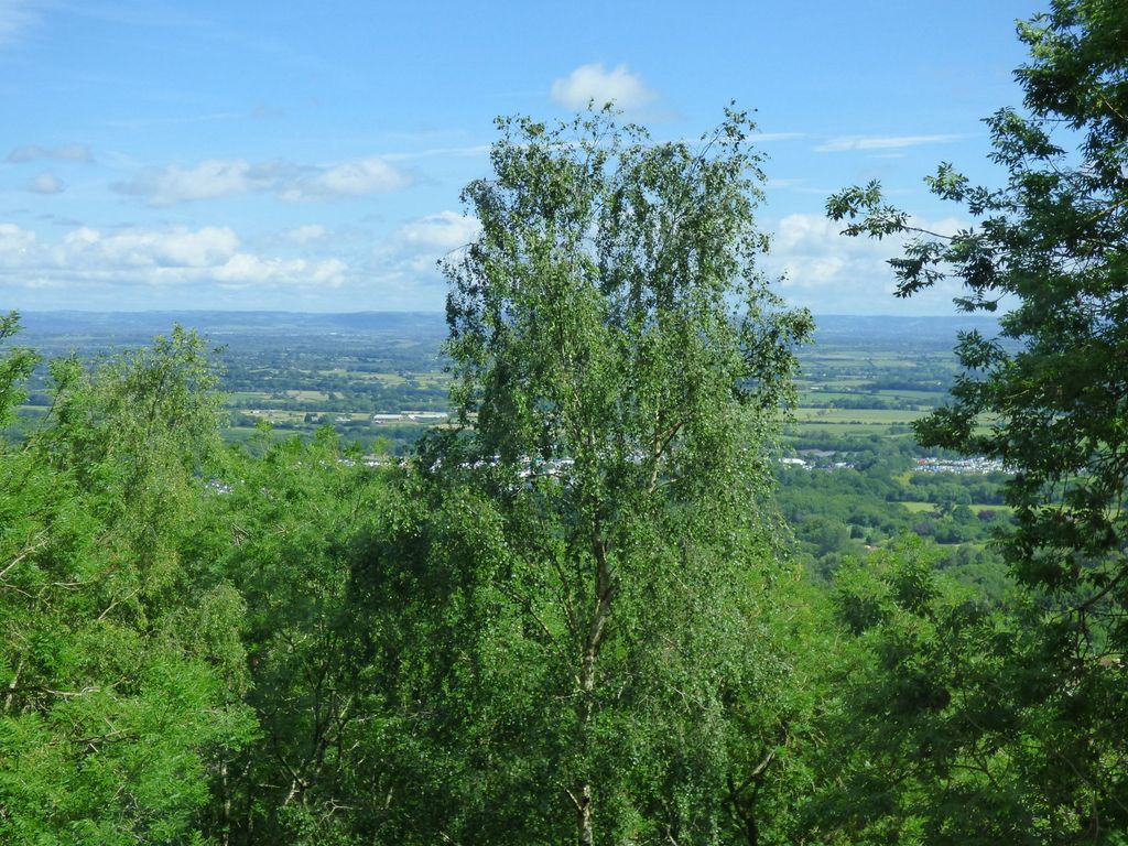 Property photo 3 of 32