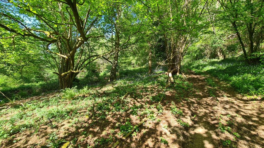 Property photo 3 of 10