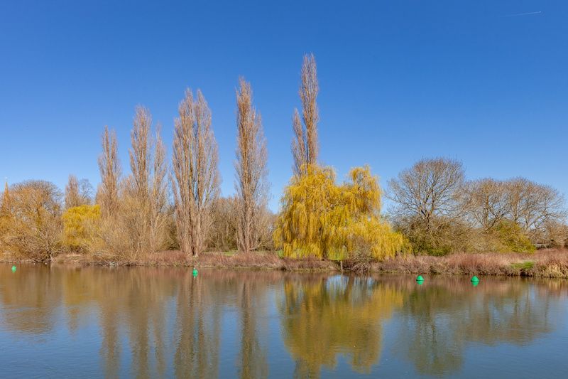 Property photo 2 of 19 River View