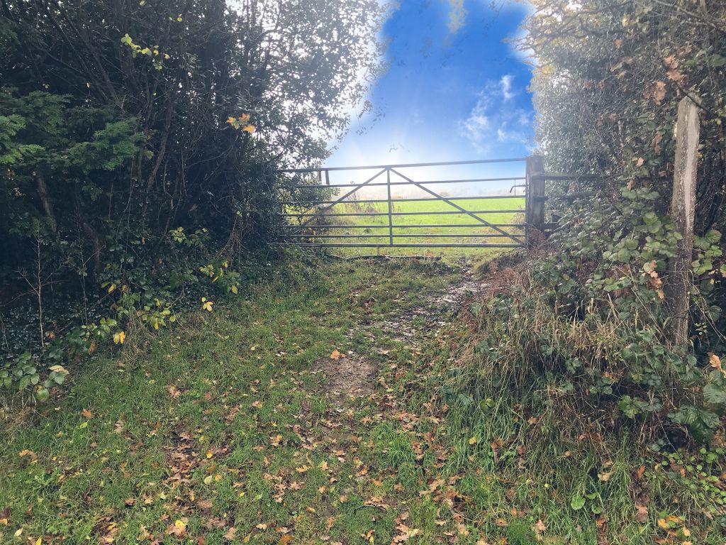 Property photo 3 of 4