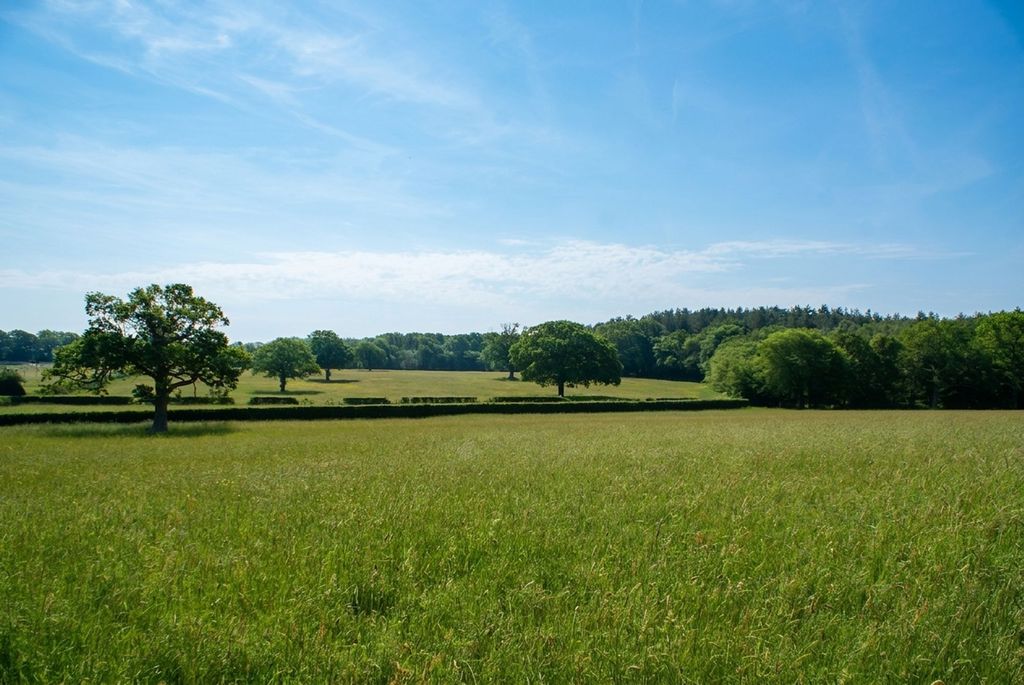 Property photo 2 of 37 37