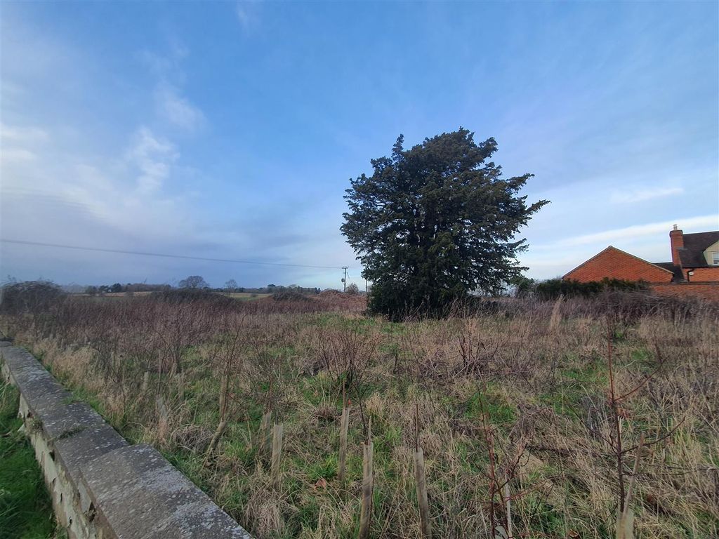 Property photo 1 of 5 View Beyond Tree