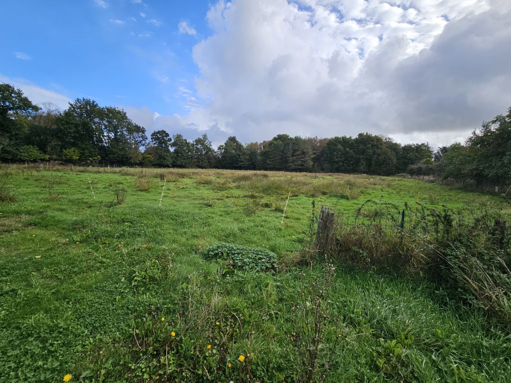 Property photo 3 of 30