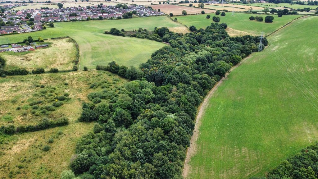 Property photo 3 of 7 Woodland