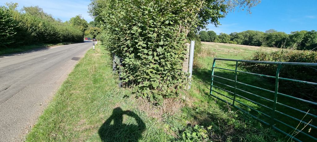 Property photo 1 of 24