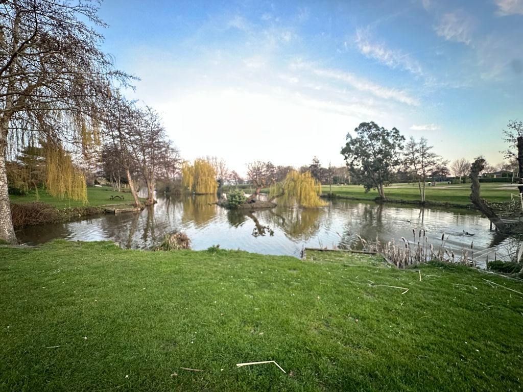 Property photo 1 of 16 Homestead