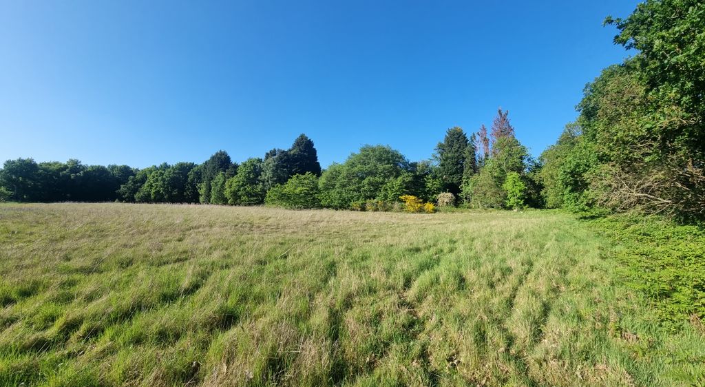 Property photo 3 of 4 Paddock