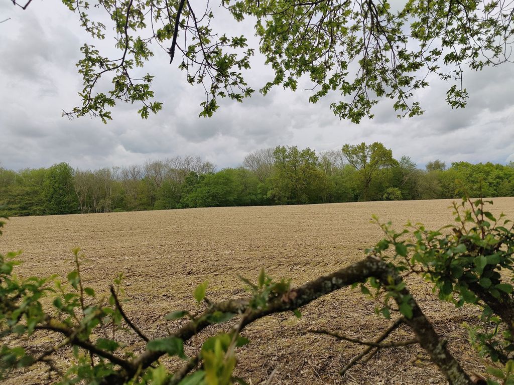 Property photo 2 of 4