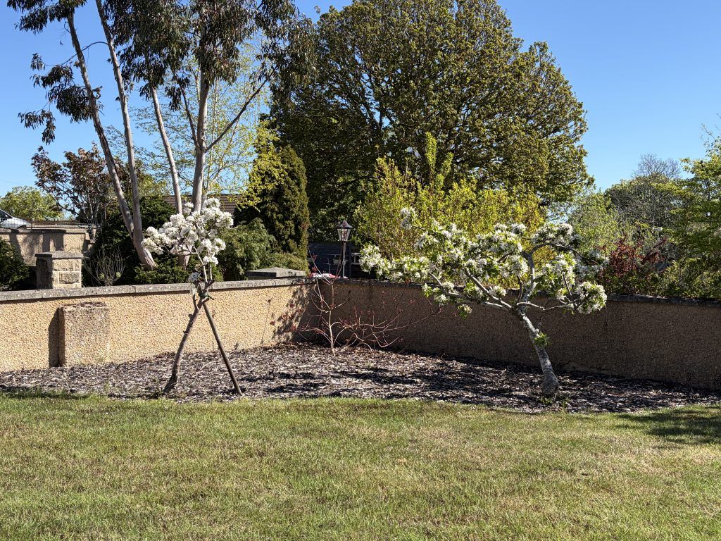 Property photo 2 of 26