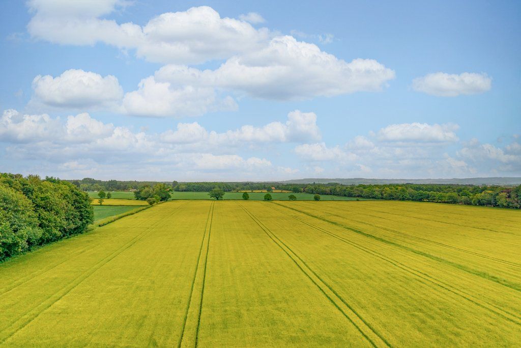 Additional image 10 of Land for saleGate Helmsley, York, North Yorkshire YO41
