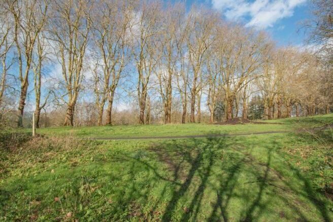 Property photo 1 of 7 Open Grassy Area Bordered By Mature Trees With Cle...