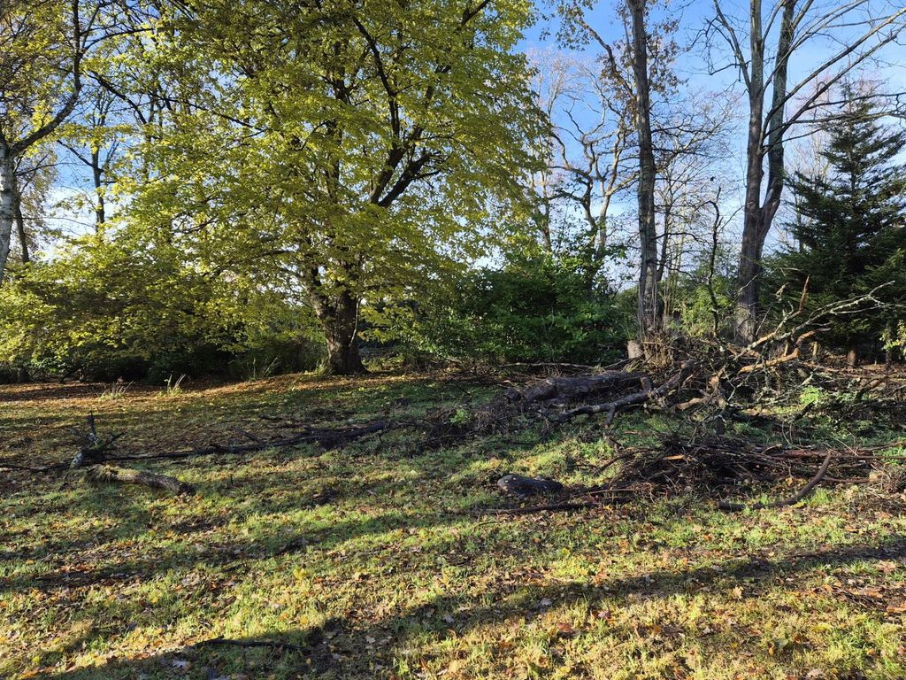 Property photo 2 of 19