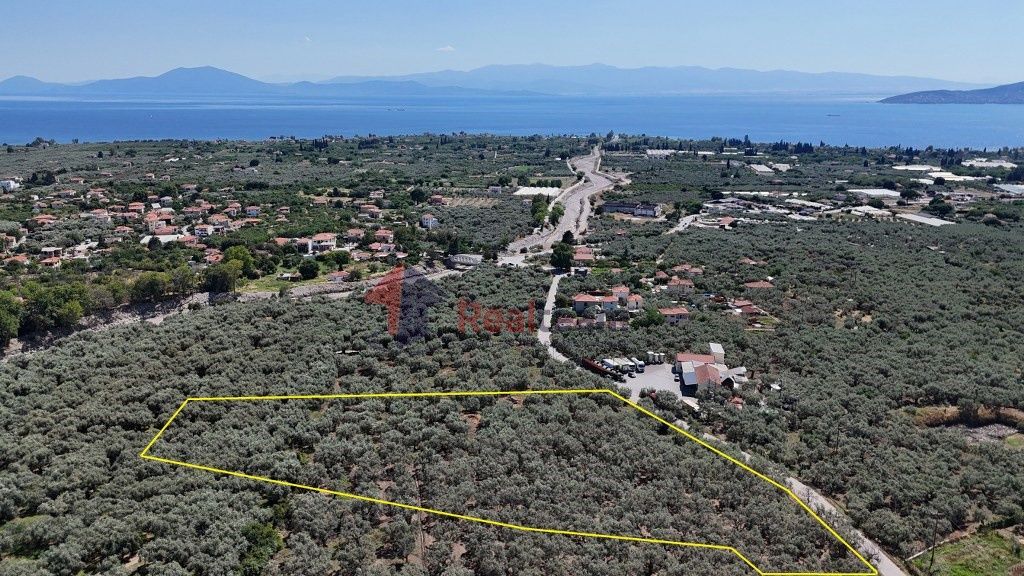 Property photo 2 of 26