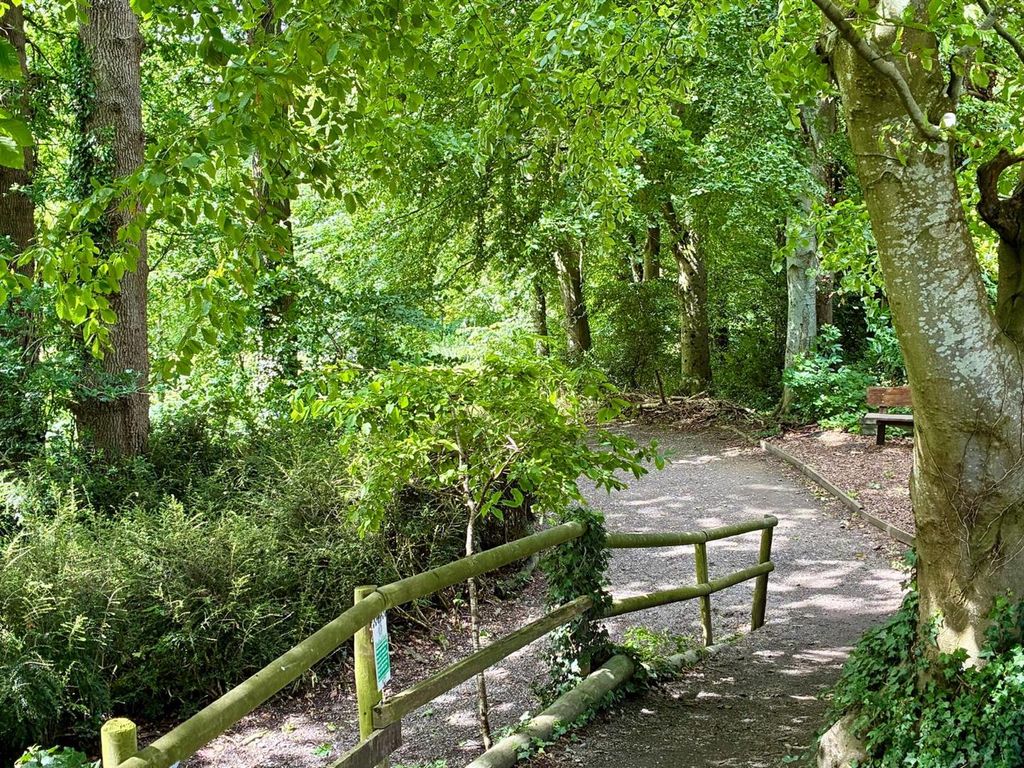 Property photo 2 of 16 Woodland Walk