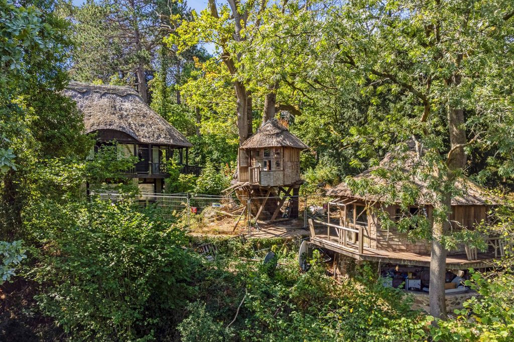 Property photo 3 of 18 Tree House