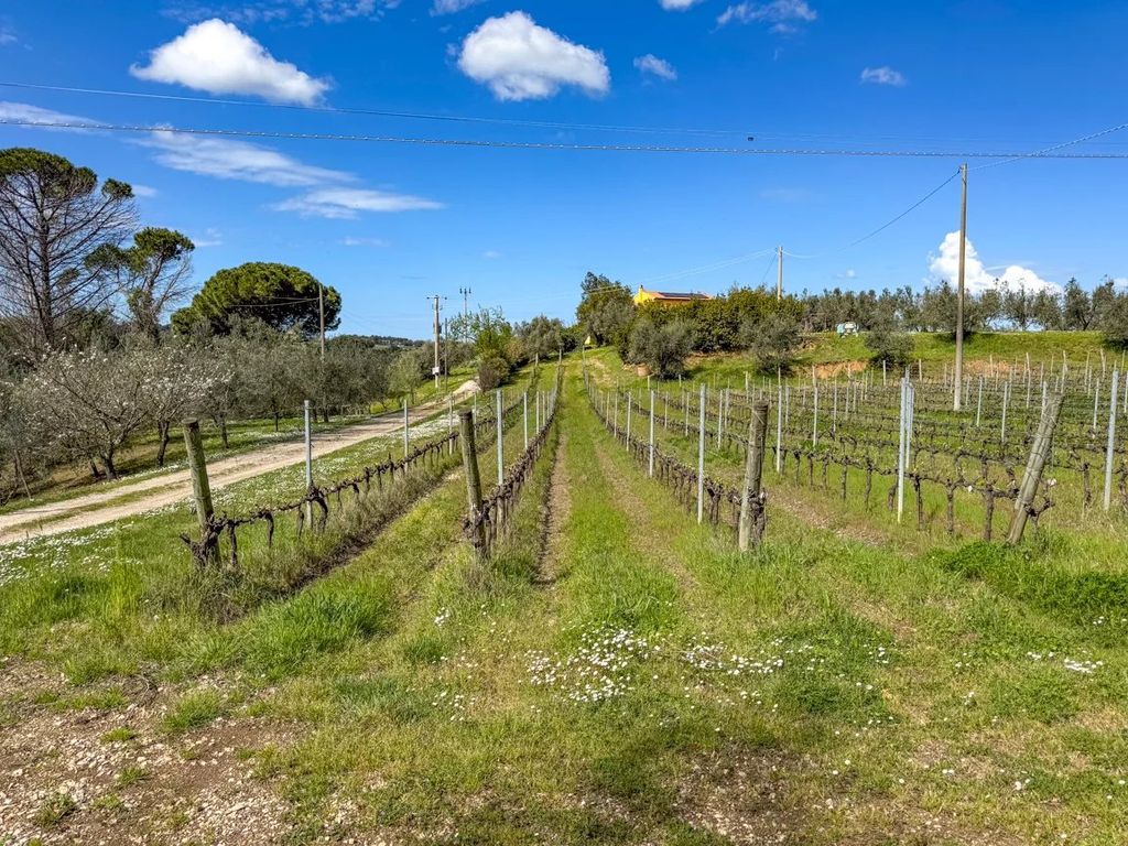 Property photo 2 of 88