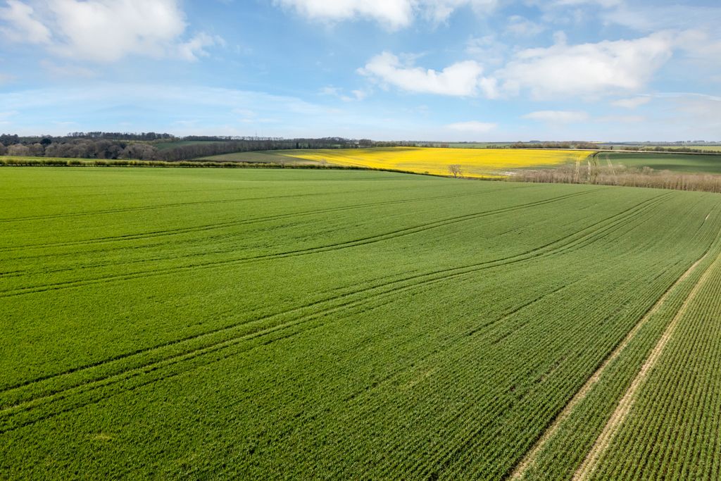 Additional image 19 of 3 bed detached house for saleTathwell Grange, Tathwell, Louth, Lincolnshire LN11