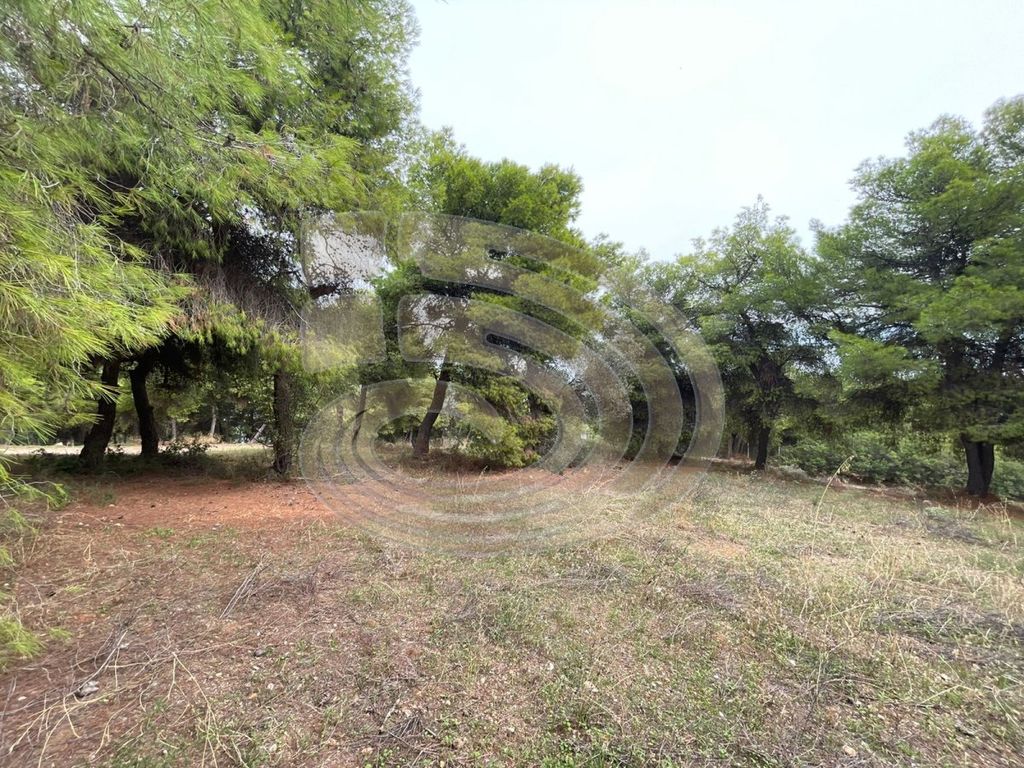 Property photo 1 of 7 Plot, 200 Sq, For Sale