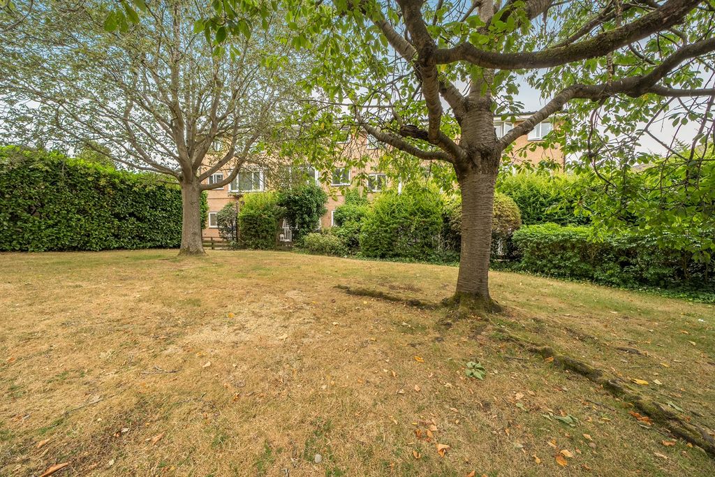 Property photo 3 of 17 Other