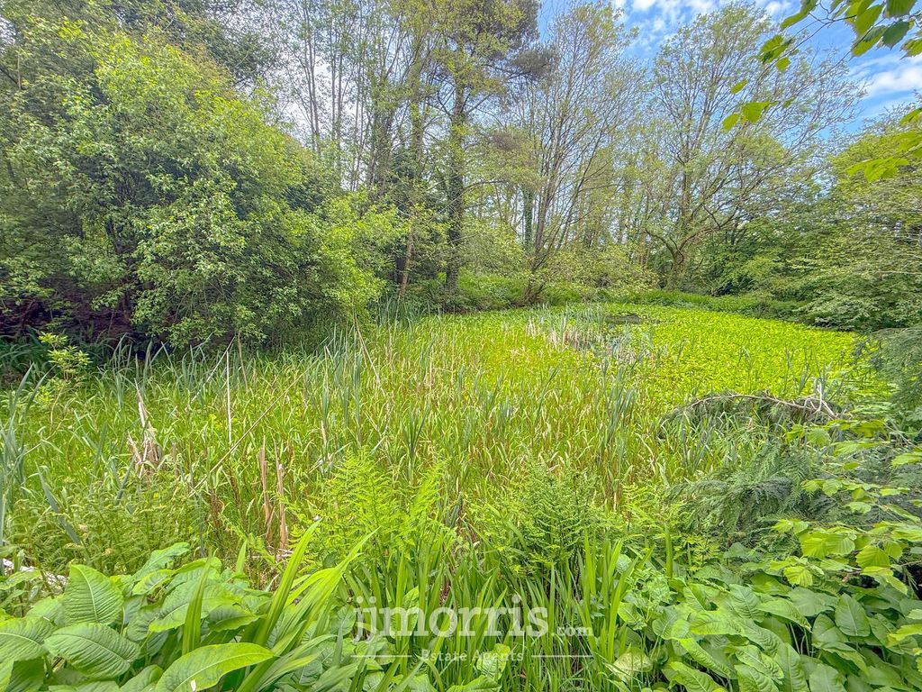 Additional image 54 of 3 bed detached house for saleBwlchllan, Lampeter SA48