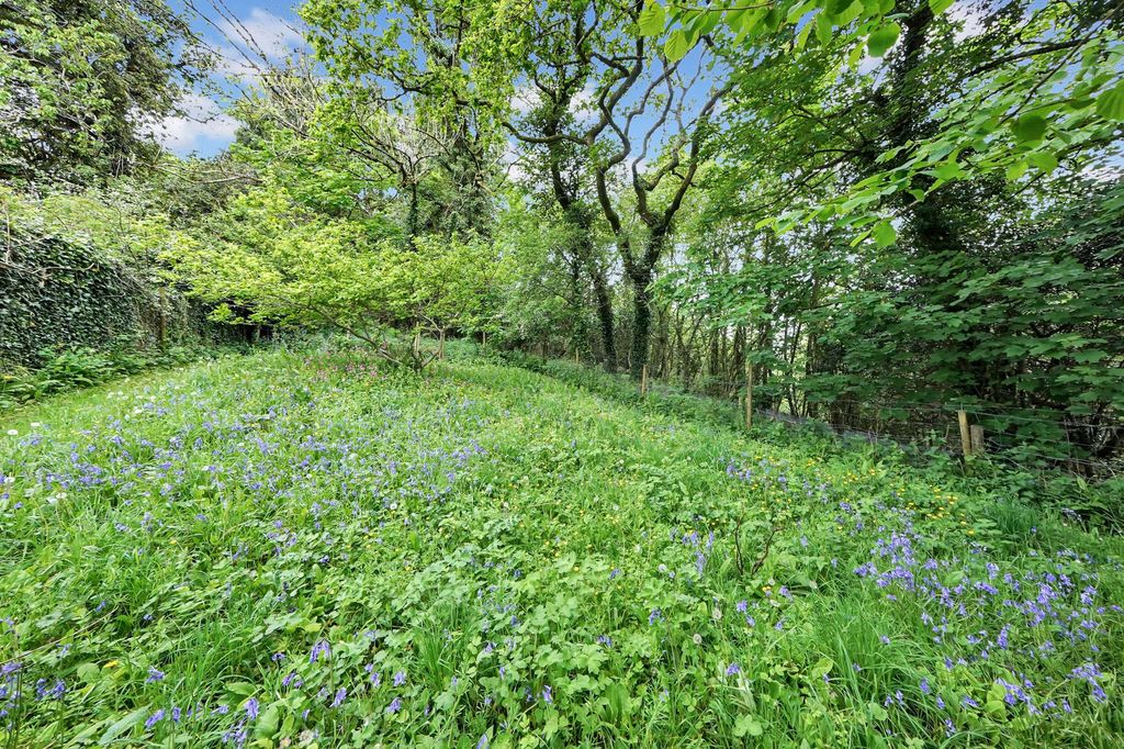 Additional image 18 of 5 bed detached bungalow for saleHerodsfoot, Liskeard PL14