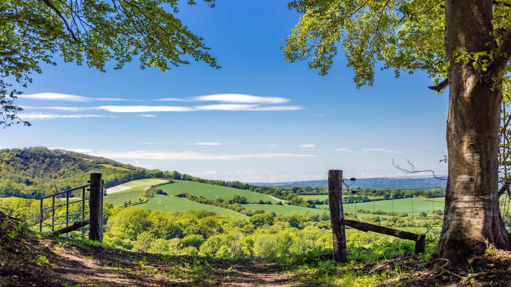 Property photo 3 of 5