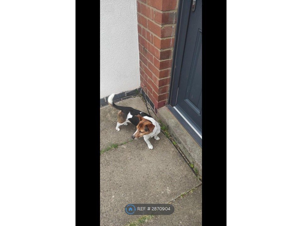 Property photo 2 of 16 This Jimmy Welcoming You To The House