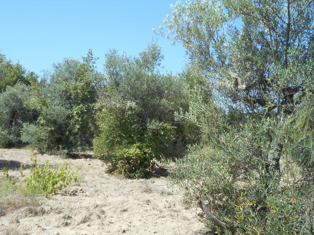 Property photo 3 of 8