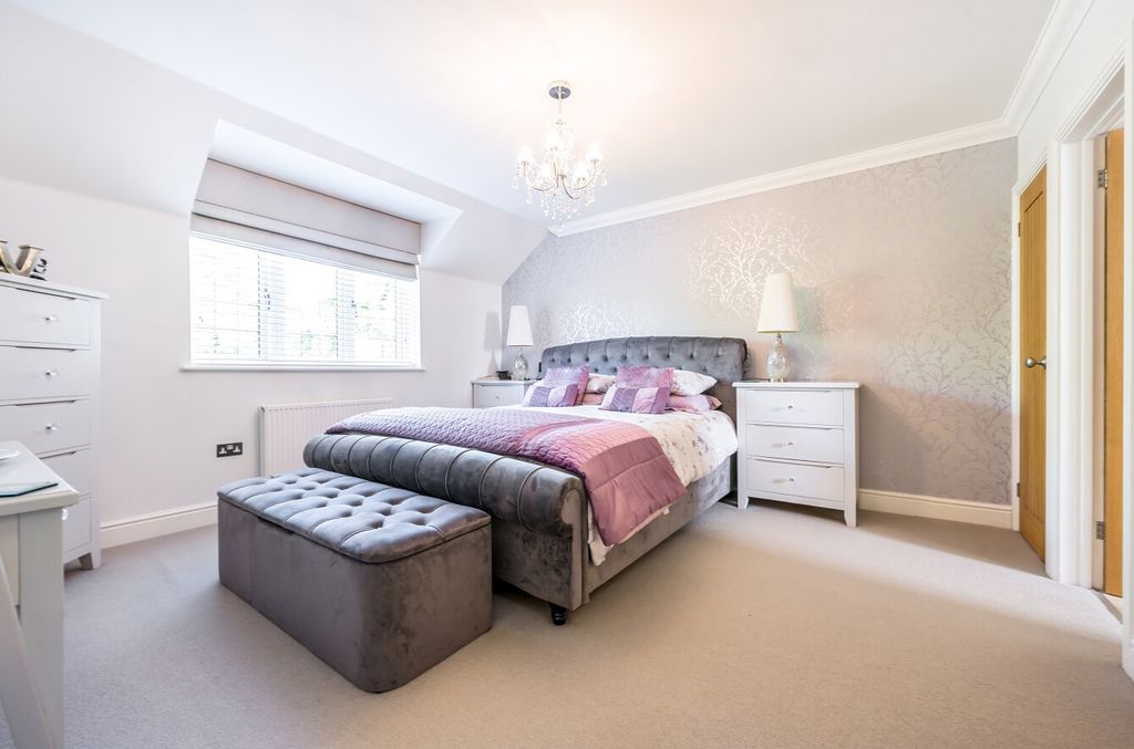 Additional image 4 of Something went wrong