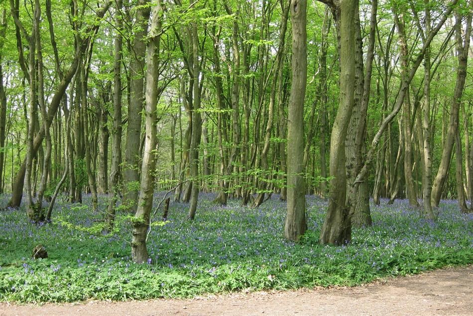 Property photo 1 of 3