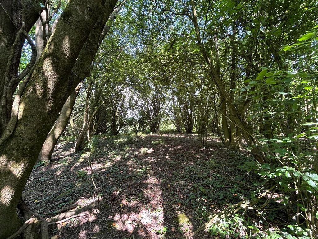 Property photo 1 of 6 Picture No. 01
