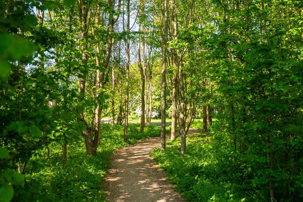 Property photo 3 of 22