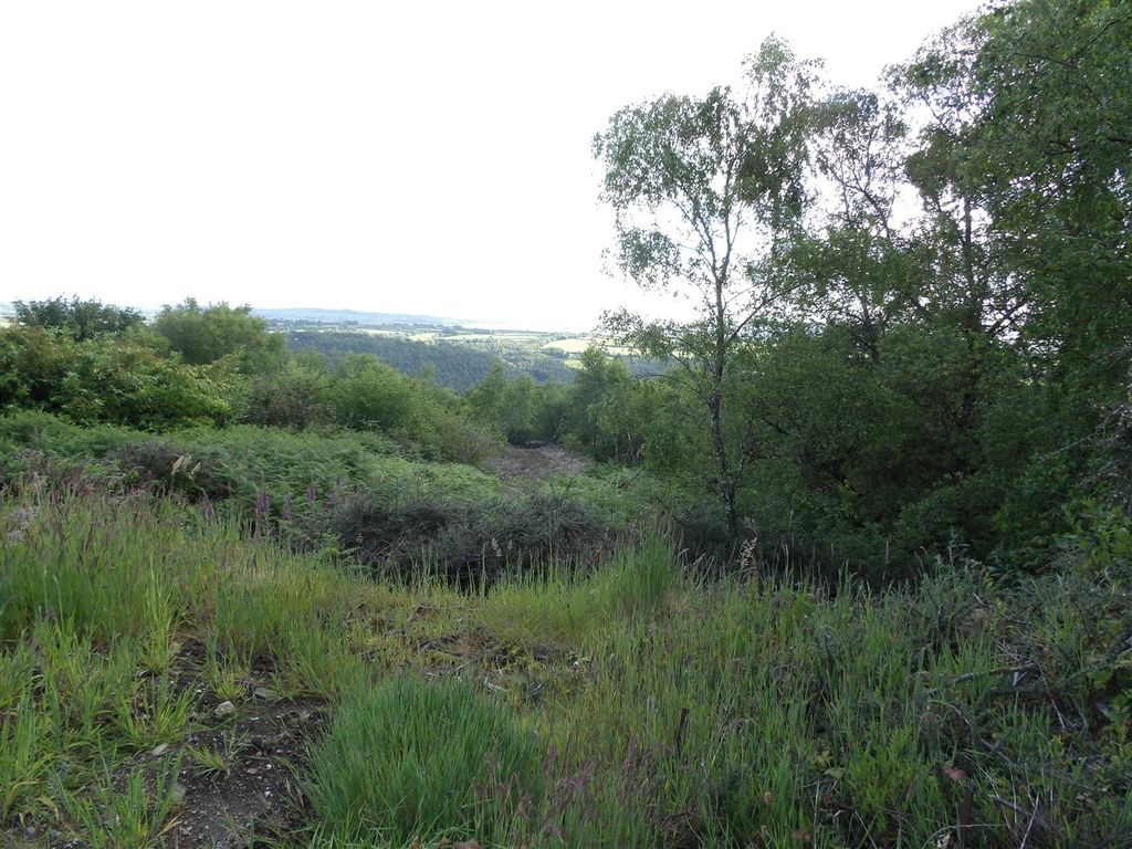 Additional image 5 of Land for saleDelaware Road, Gunnislake PL18