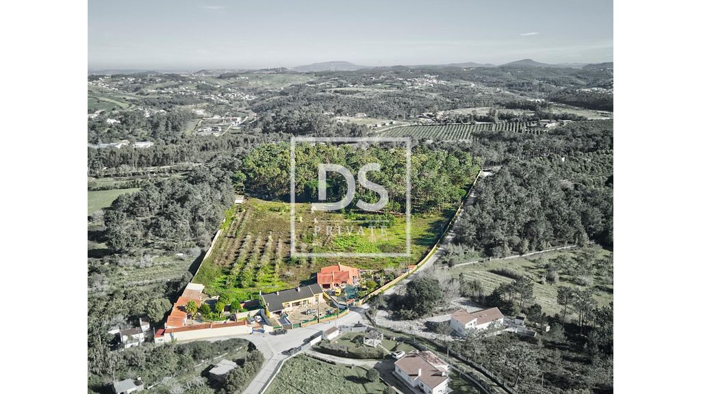 Property photo 3 of 49