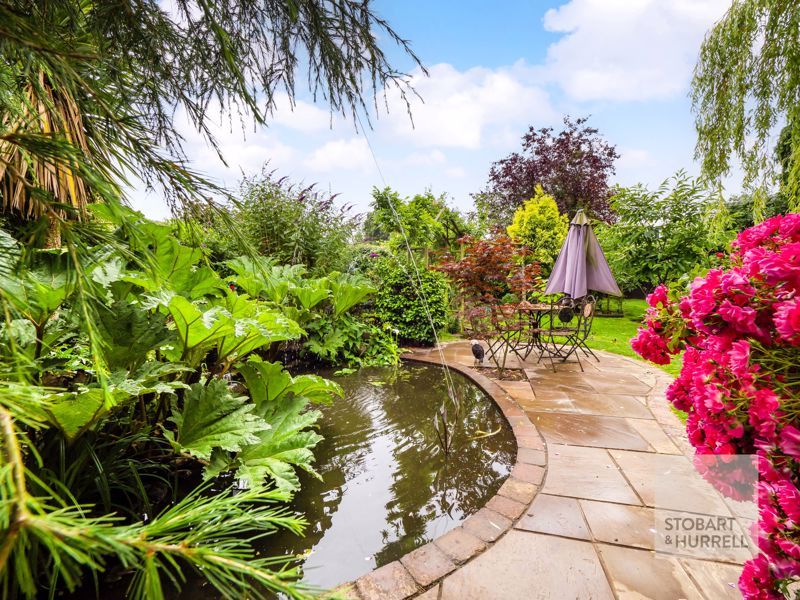 Property photo 3 of 38 Pond Life