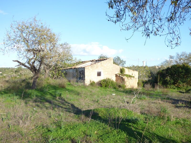 Property photo 2 of 17 Img 1
