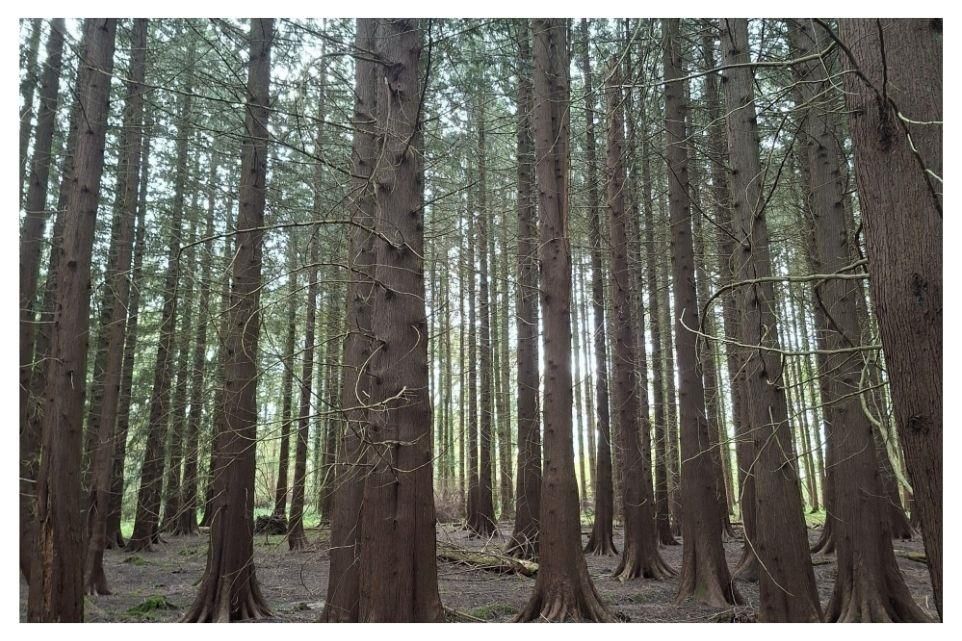 Property photo 3 of 7 Brochure Single Border (1).Jpg